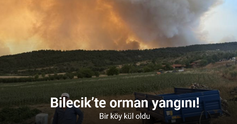 Bilecik’teki orman yangınında bir köy kül oldu
