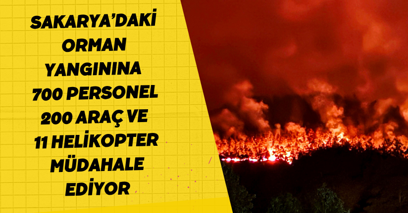 Sakarya’daki orman yangınına 700 personel, 200 araç ve 11 helikopter müdahale ediyor