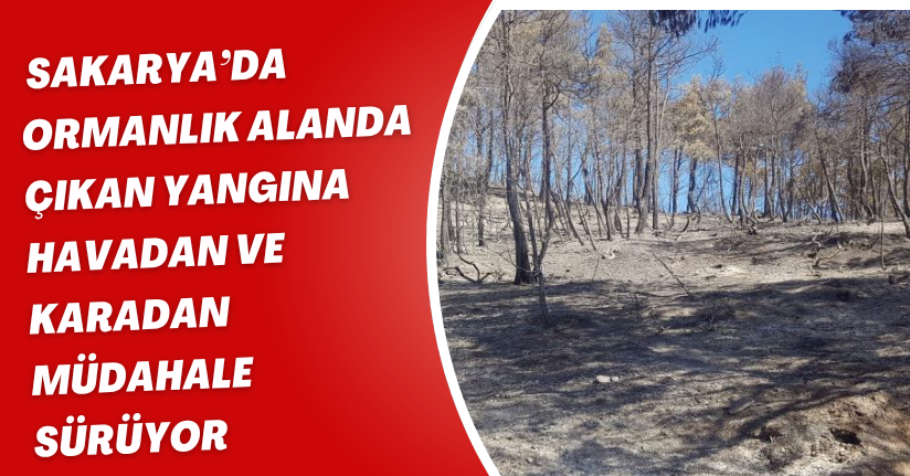 Sakarya’da ormanlık alanda çıkan yangına havadan ve karadan müdahale sürüyor