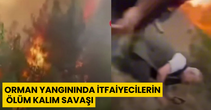 Orman yangınında itfaiyecilerin ölüm kalım savaşı