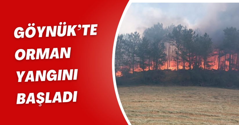 Göynük’te orman yangını başladı