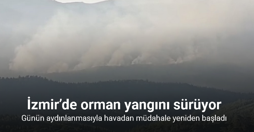 İzmir’de orman yangını sürüyor