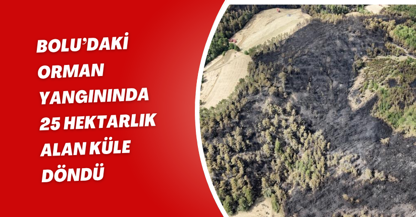 Bolu’daki orman yangınında 25 hektarlık alan küle döndü