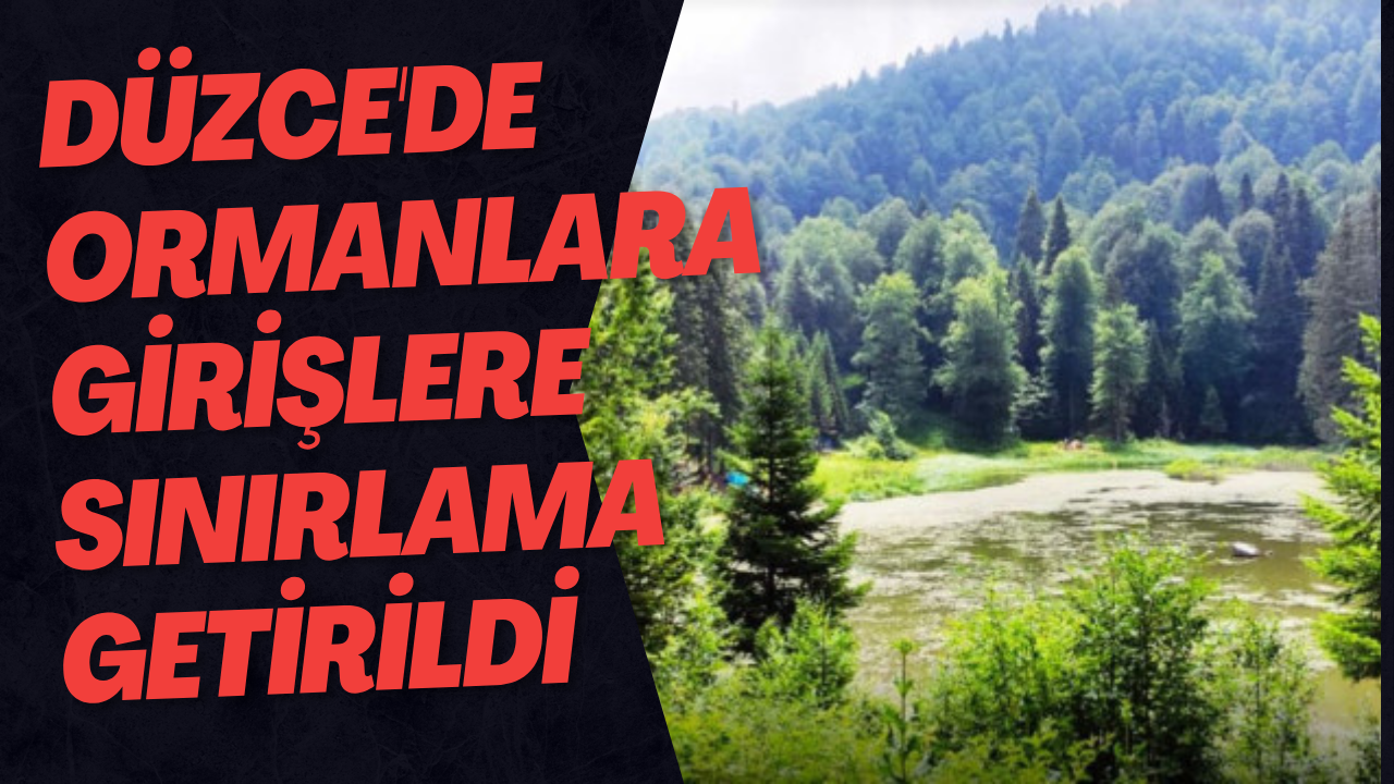 Düzce'de Ormanlara Girişlere Sınırlama Getirildi