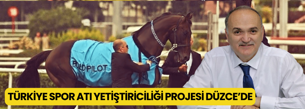 Türkiye Spor Atı Yetiştiriciliği Projesi Düzce’de Şekilleniyor