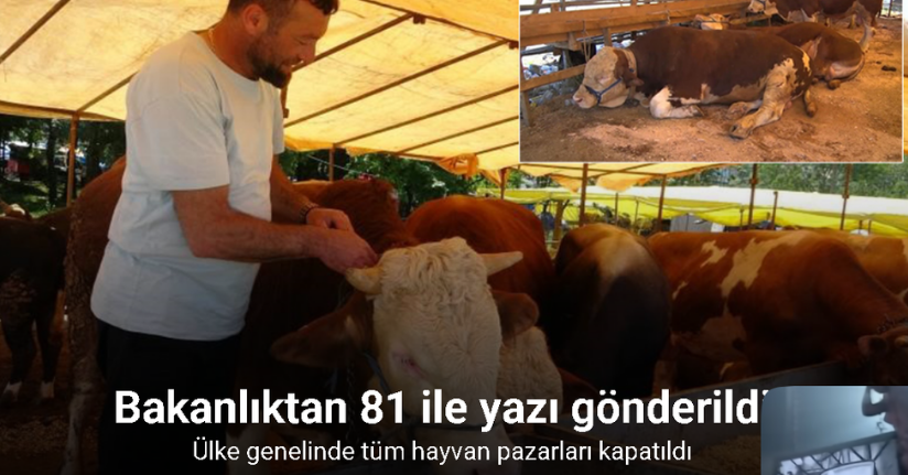 Ülke genelinde tüm hayvan pazarları kapatıldı
