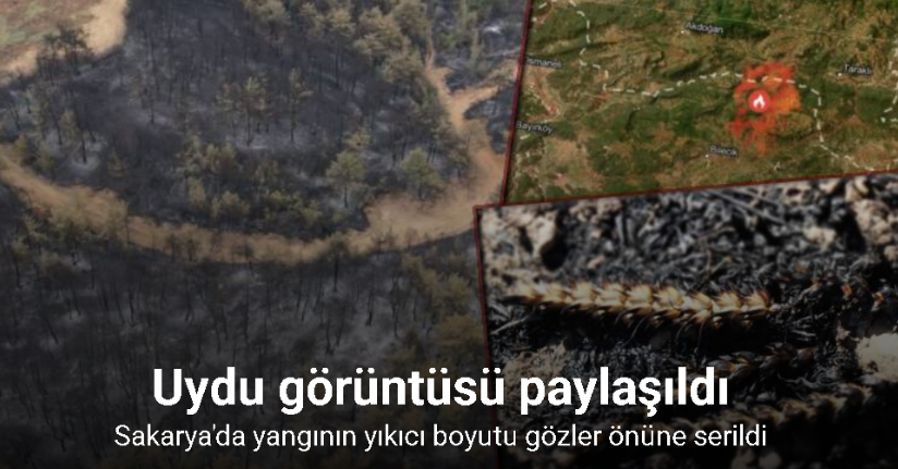 Taraklı orman yangınından geriye kalanlar