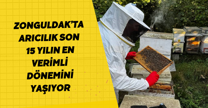 Zonguldak’ta arıcılık son 15 yılın en verimli dönemini yaşıyor