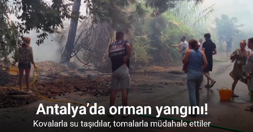 Antalya’da orman yangını: Kovalarla su taşıdılar, tomalarla müdahale ettiler