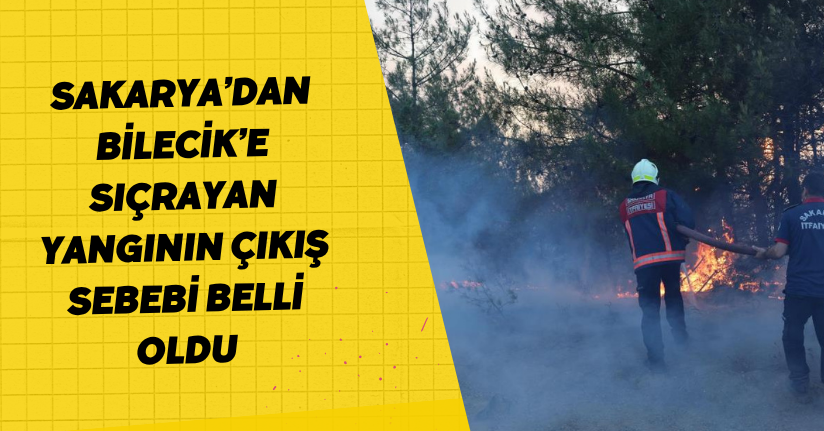 Sakarya’dan, Bilecik’e sıçrayan yangının çıkış sebebi belli oldu