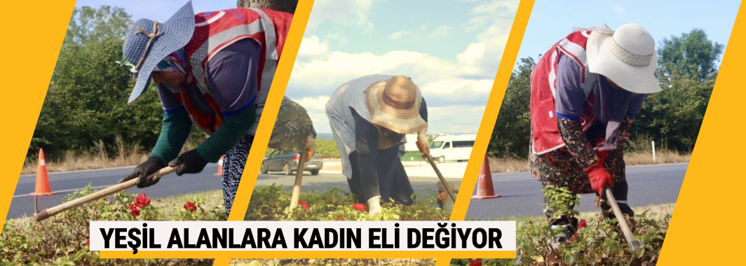 Yeşil Alan Bakımı Devam Ediyor