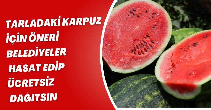 Tarladaki karpuz için öneri: