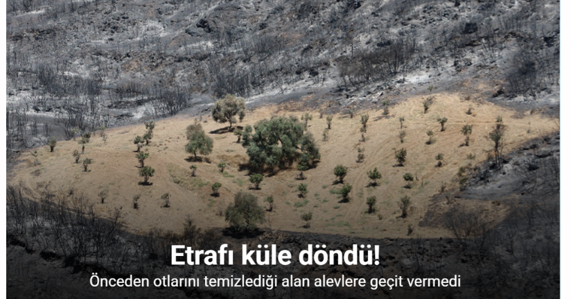 Sürülen alan alevlere geçit vermedi
