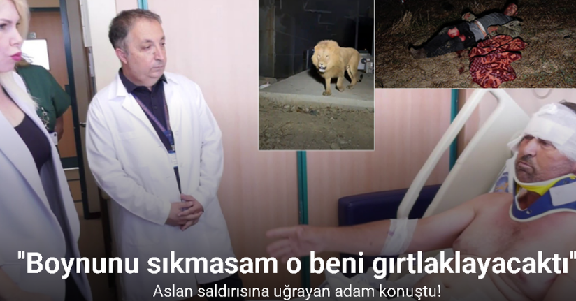 Aslan saldırısına uğrayan adam: 