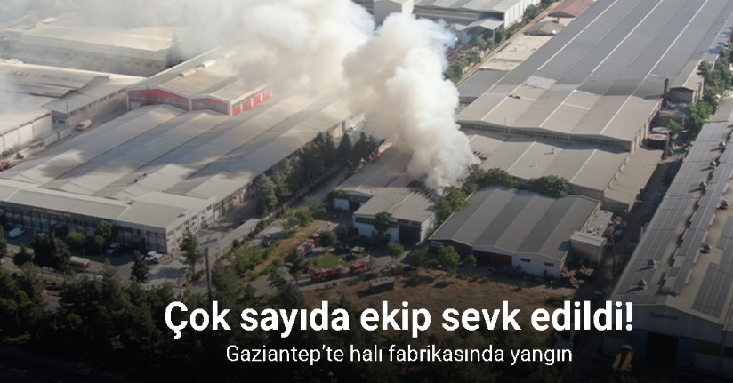 Gaziantep’te halı fabrikasında yangın