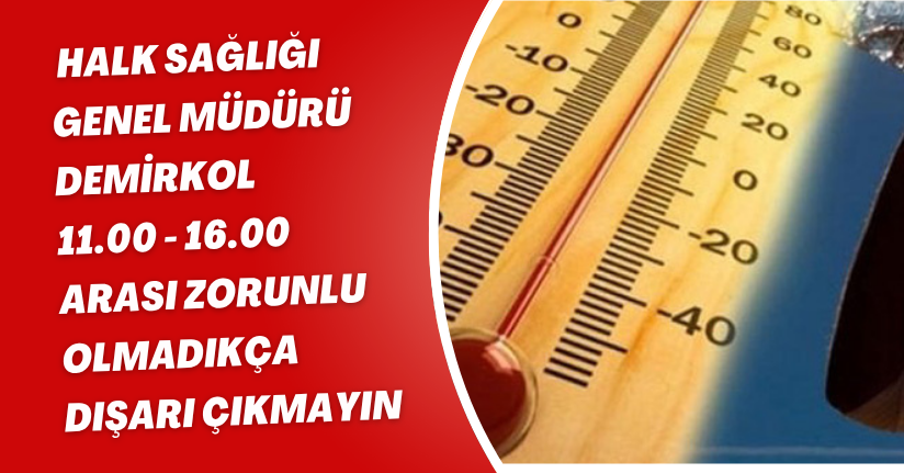 Halk Sağlığı Genel Müdürü Demirkol: 