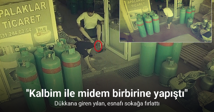 Dükkana giren yılan, esnafı sokağa fırlattı