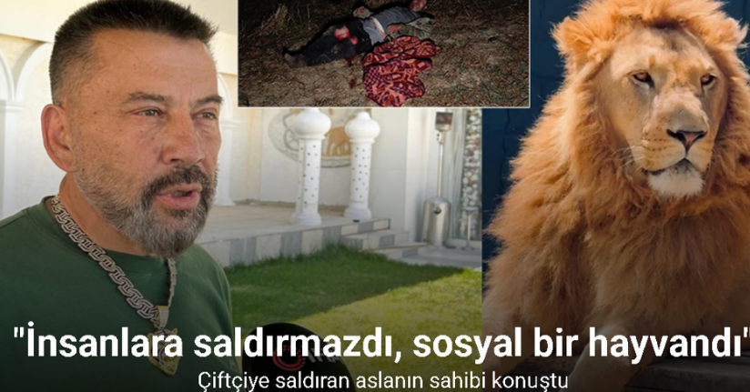 Çiftçiye saldıran aslanın sahibi: 