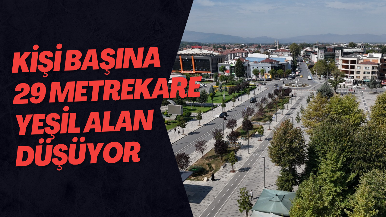Kişi Başına 29 Metrekare Yeşil Alan Düşüyor