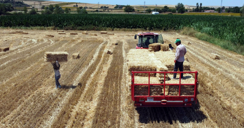 Edirne'de hasadın tamamlandığı tarlalarda kavurucu sıcakta balya mesaisi