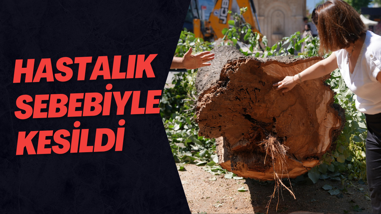 Hastalık Sebebiyle Kesildi