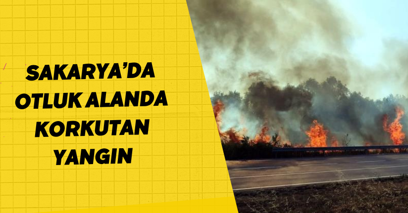 Sakarya’da otluk alanda korkutan yangın