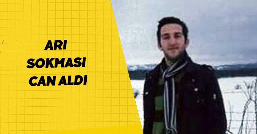 Arı sokması can aldı