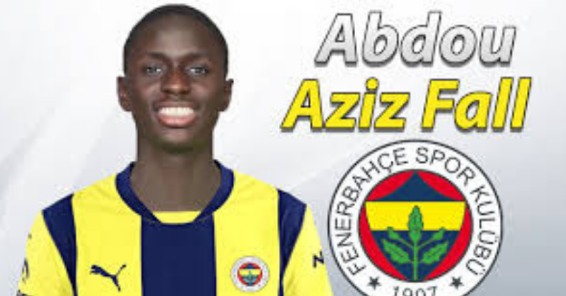 Abdou Aziz Fall, Fenerbahçe’de