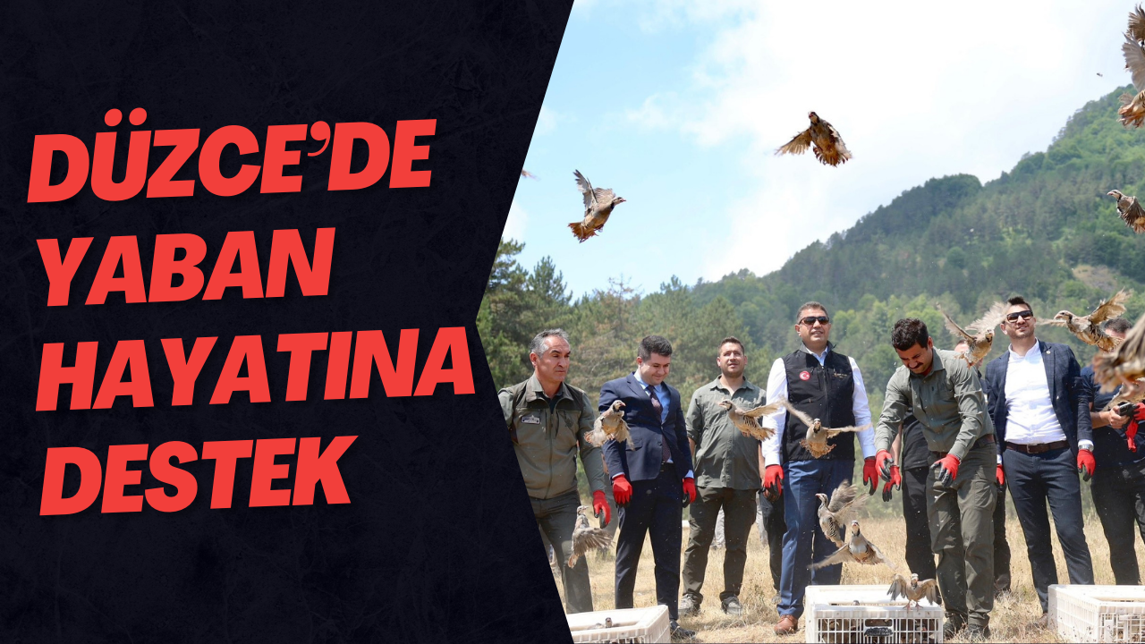 Düzce’de Yaban Hayatına Destek