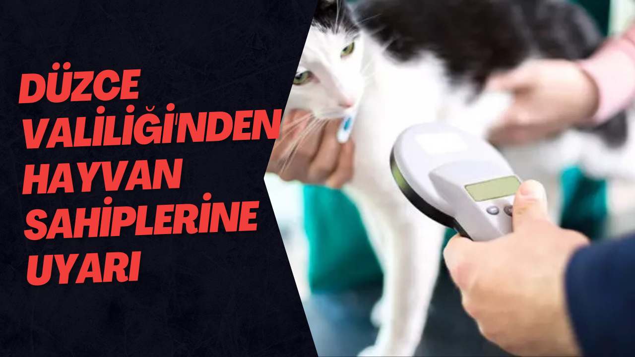 Düzce Valiliği'nden Hayvan Sahiplerine Uyarı