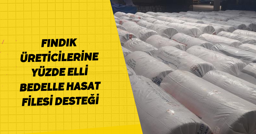  Fındık üreticilerine yüzde elli bedelle hasat filesi desteği