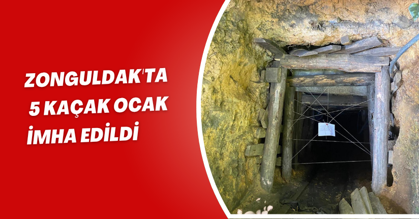 Zonguldak'ta 5 kaçak ocak imha edildi
