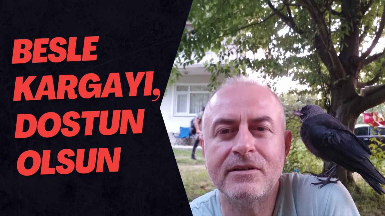 Besle Kargayı, Dostun Olsun