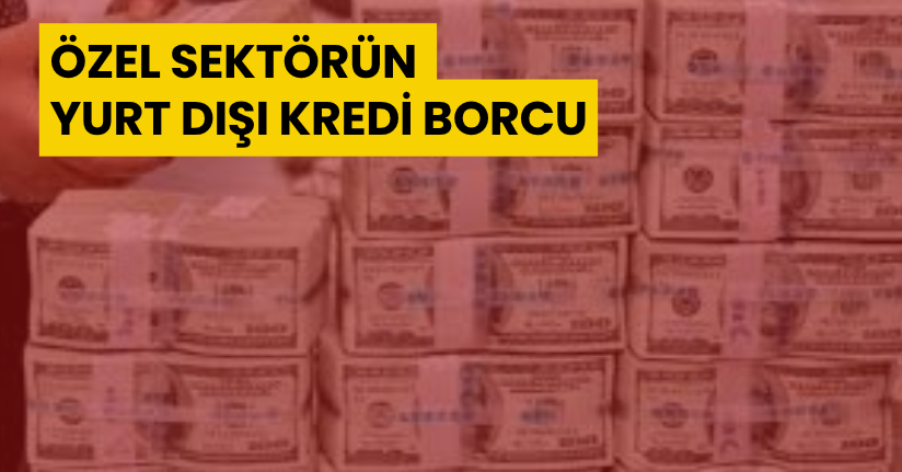 Özel sektörün yurt dışı kredi borcu Mayıs ayında 190,4 milyar dolar oldu