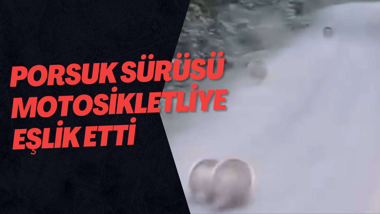 Porsuk Sürüsü Motosikletliye Eşlik Etti
