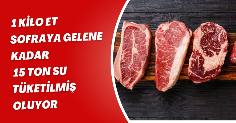  1 kilo et sofraya gelene kadar 15 ton su tüketilmiş oluyor