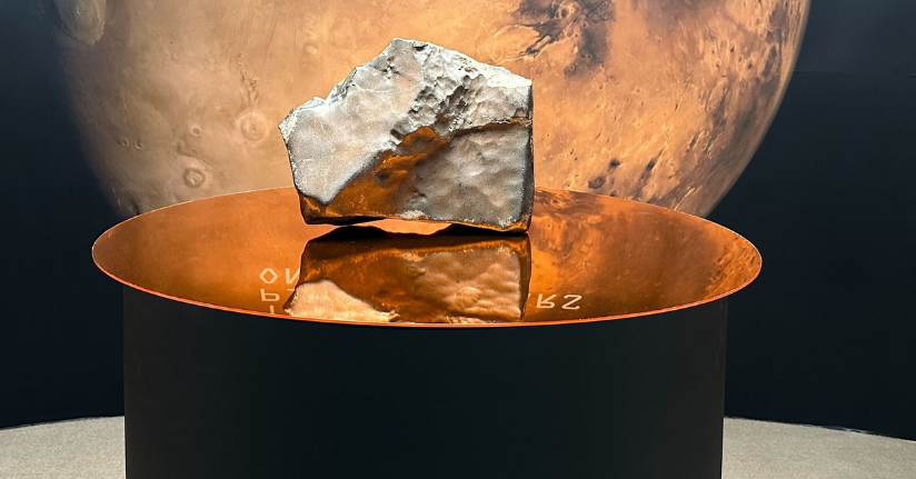 Mars'tan dünyaya düşen en büyük gök taşı 5,3 milyon dolara satıldı