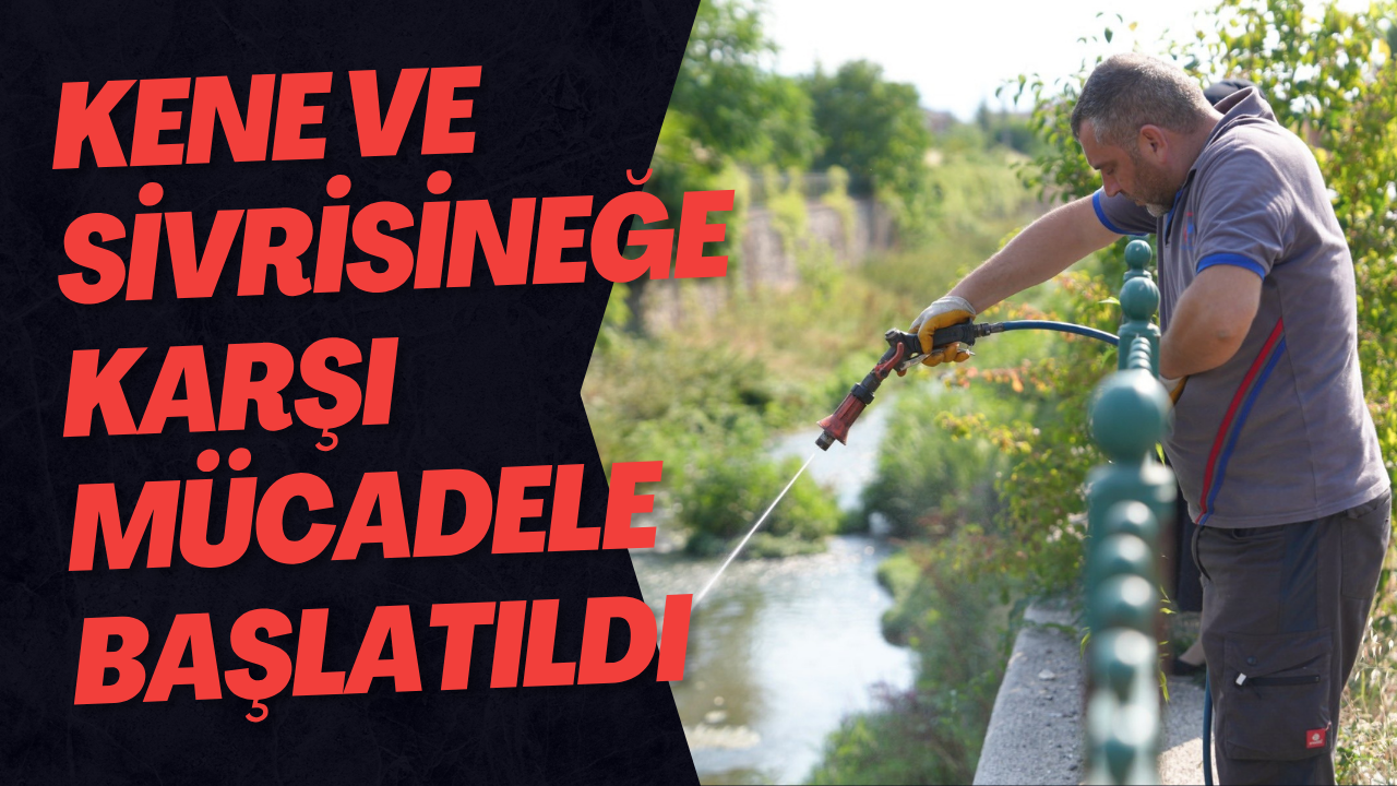 Kene Ve Sivrisineğe Karşı Mücadele Başlatıldı
