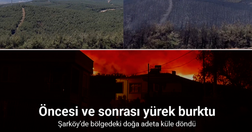 Şarköy’de orman yangınında küle dönen alanın öncesi ve sonrası yürek burktu