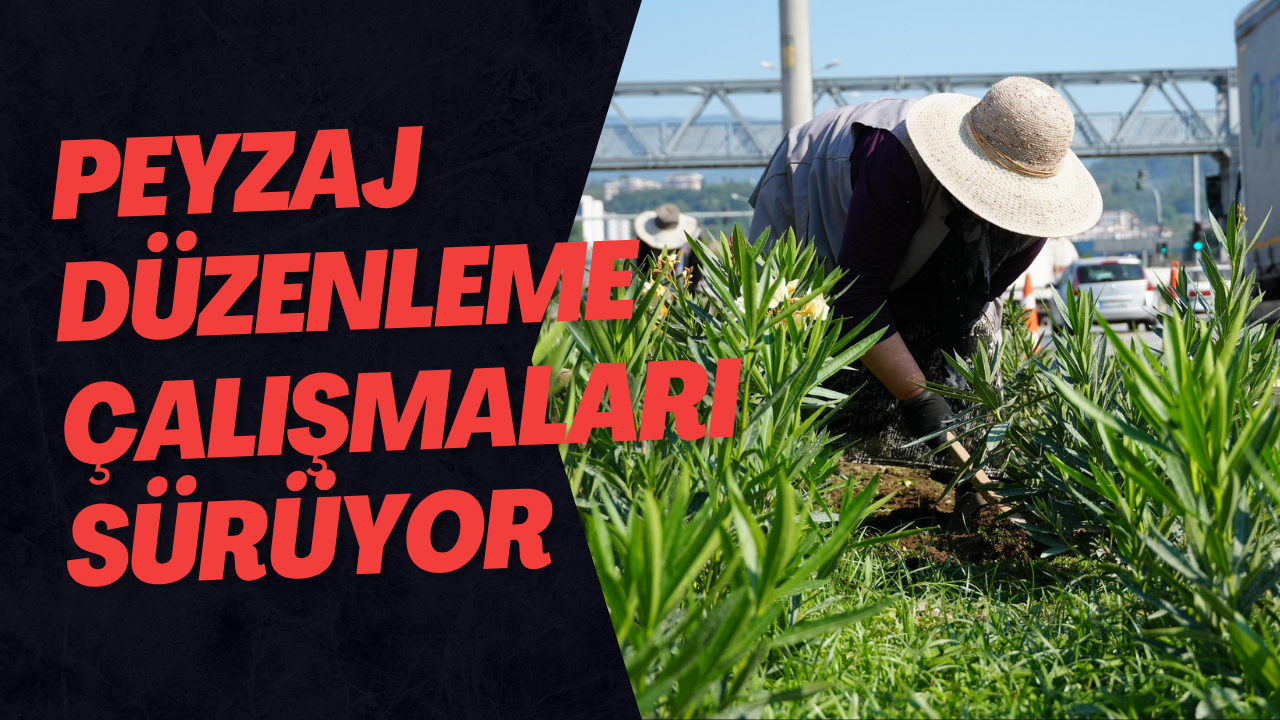 Peyzaj Düzenleme Çalışmaları Sürüyor