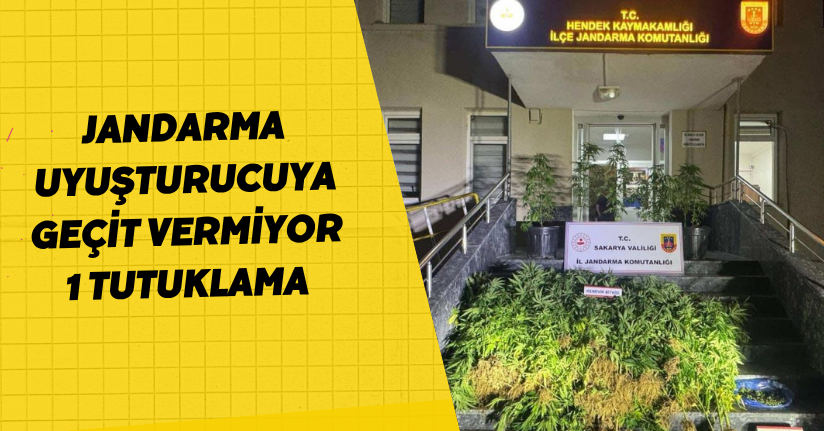 Jandarma uyuşturucuya geçit vermiyor: 1 tutuklama