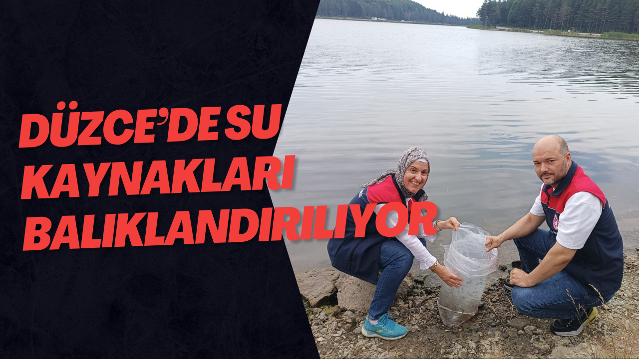 Düzce’de Su Kaynakları Balıklandırılıyor