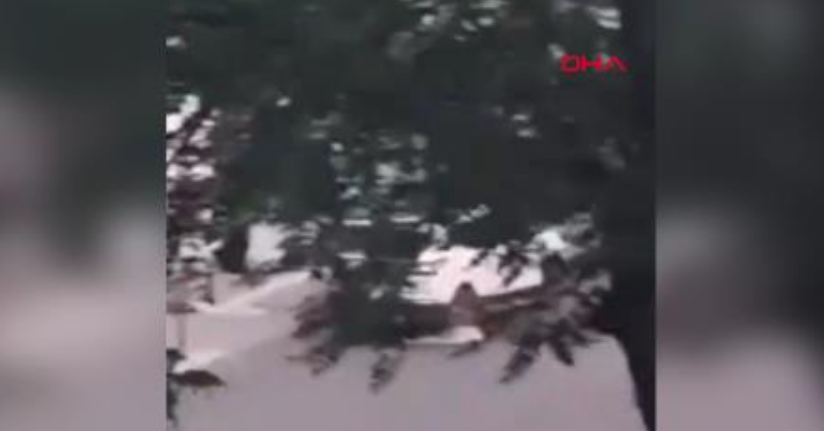 Ağladığı için gezdirdiği çocuğu kucağındayken silahlı kavganın ortasında kalıp ölmüş