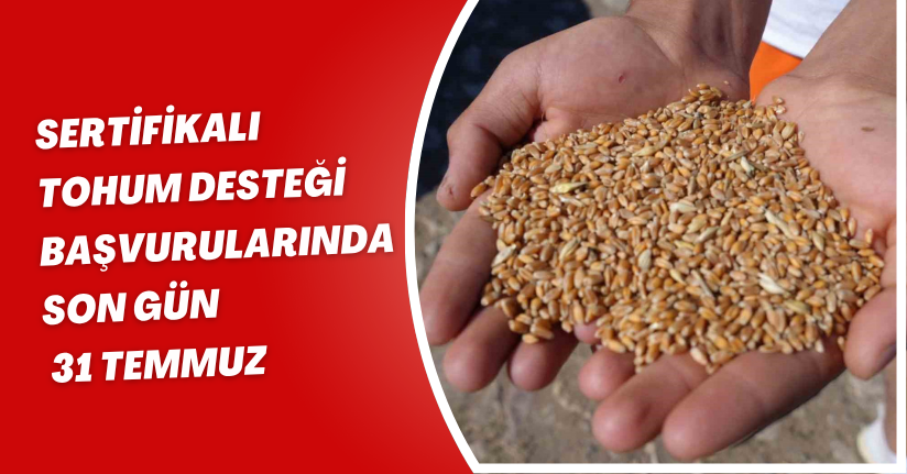 Sertifikalı tohum desteği başvurularında son gün 31 Temmuz