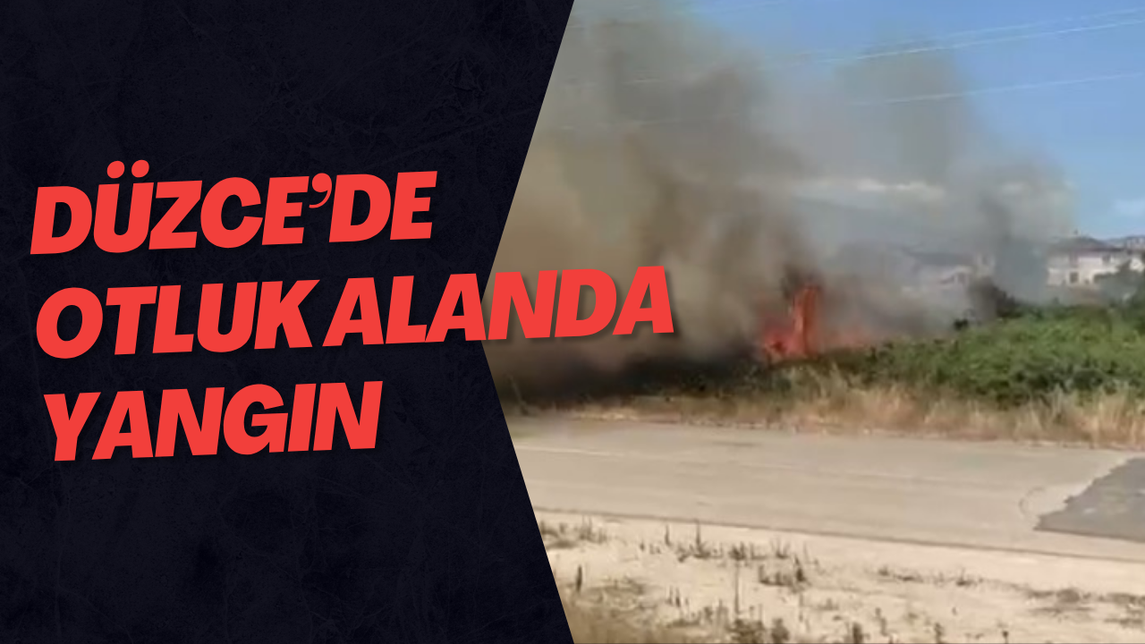 Düzce’de Otluk Alanda Yangın