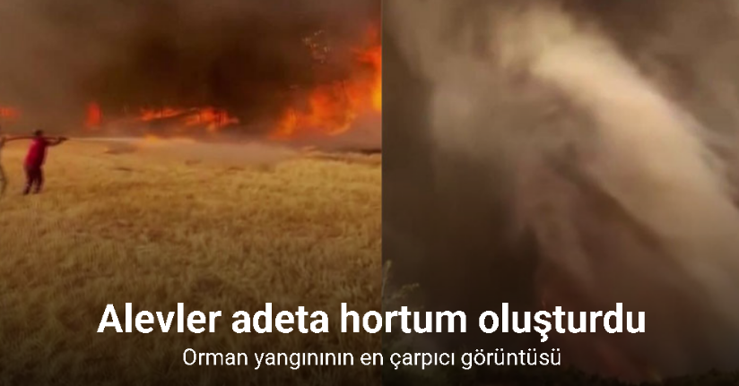 Orman yangınının en çarpıcı görüntüsü: Alevler adeta hortum oluşturdu