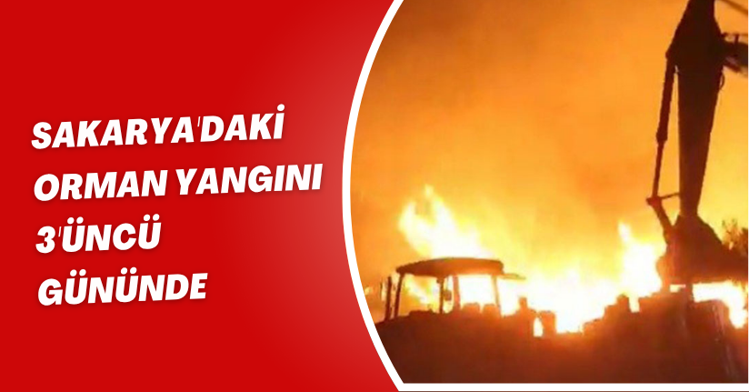 Sakarya'daki orman yangını 3'üncü gününde
