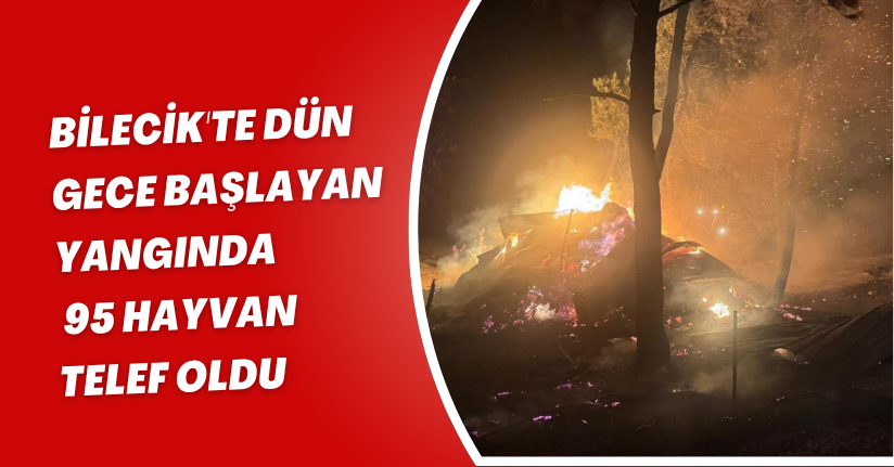 Bilecik'te dün gece başlayan yangında 95 hayvan telef oldu