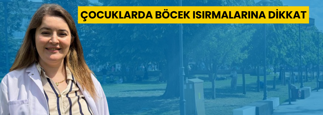 Çocuklarda Böcek Isırmalarına Dikkat