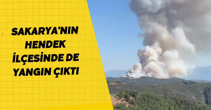  Sakarya'nın Hendek ilçesinde de yangın çıktı